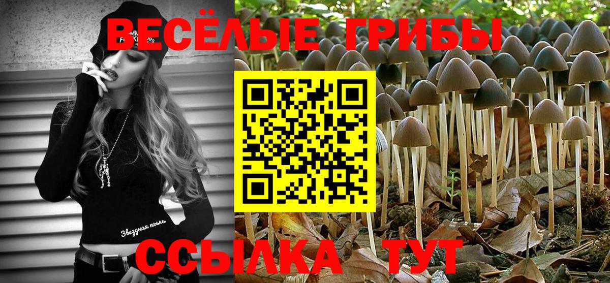 Галлюциногенные грибы Magic Shrooms Севастополь