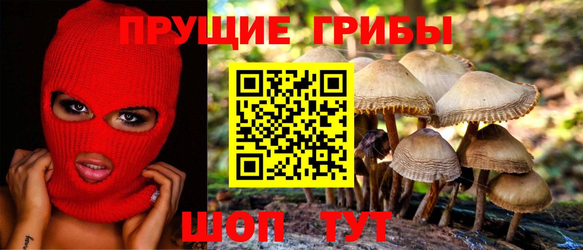 Севастополь  Псилоцибиновые грибы GOLDEN TEACHER  Вход с VPN 